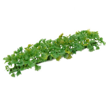 Garnish Refill Luxury Parsley 250mm Pack 12