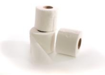 Toilet Rolls 2 Ply 320 Sheets Per Pack 36