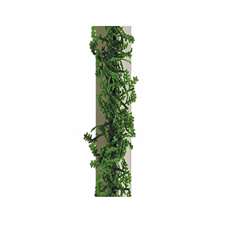 Garnish White Base, Green Cypress 250mm Per Pack 12