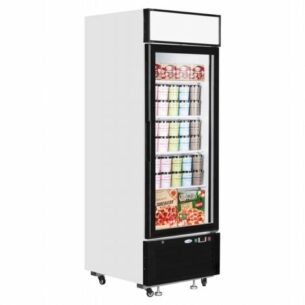 Display Freezer LGF2500 Upright Glass Door