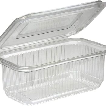 Hinged Lid Salad Container (select size)