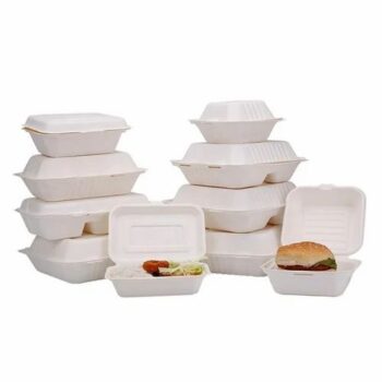 Bagasse Sugarcane Food Boxes (select size)
