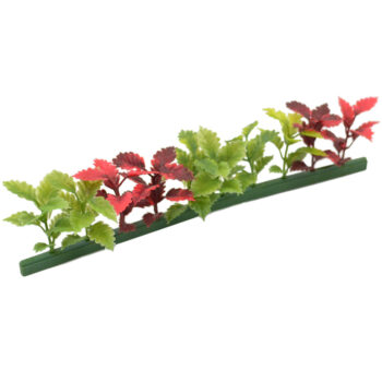 Garnish Refill Red|Green Coleus 250mm Pack 12