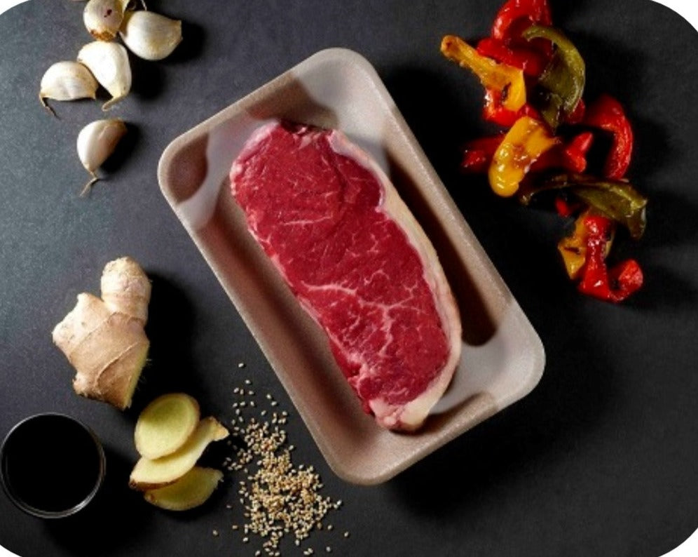 KP Infinity EPP Trays Recyclable (select size) - Image 4